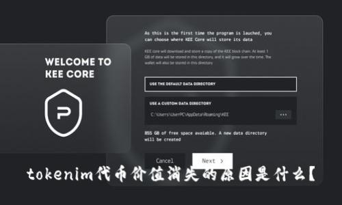tokenim代币价值消失的原因是什么?