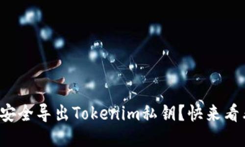 如何安全导出Tokenim私钥?快来看看吧!