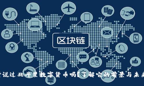 你听说过北斗星数字货币吗?了解它的前景与未来吧!