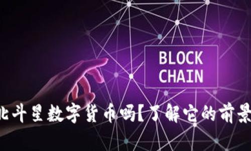 你听说过北斗星数字货币吗?了解它的前景与未来吧!