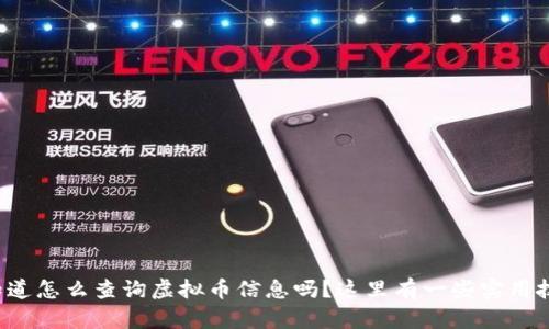 你知道怎么查询虚拟币信息吗？这里有一些实用技巧！