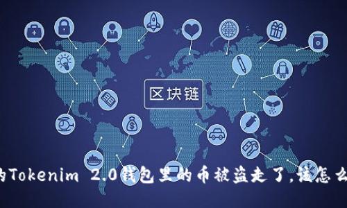 我的Tokenim 2.0钱包里的币被盗走了,该怎么办?