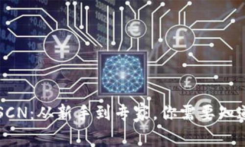 虚拟币SCN：从新手到专家，你需要知道的一切