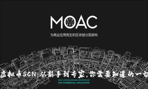 虚拟币SCN：从新手到专家，你需要知道的一切