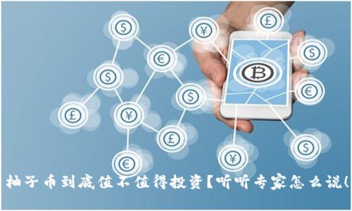 柚子币到底值不值得投资?听听专家怎么说!