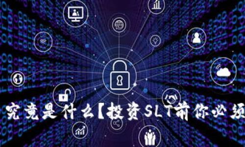 SLT虚拟币究竟是什么？投资SLT前你必须知道的事！