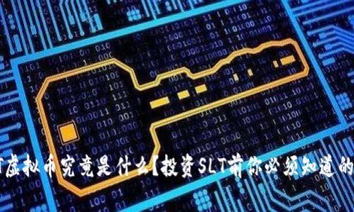 SLT虚拟币究竟是什么？投资SLT前你必须知道的事！