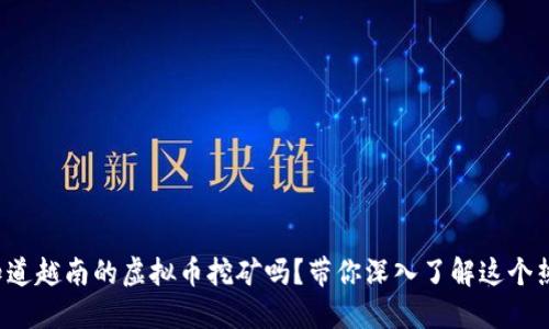 你知道越南的虚拟币挖矿吗？带你深入了解这个热潮！