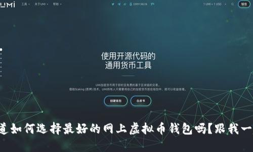 想知道如何选择最好的网上虚拟币钱包吗？跟我一起看！