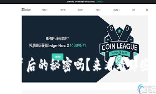 你真的知道虚拟币背后的秘密吗？来看看那些鲜为人知的故事！