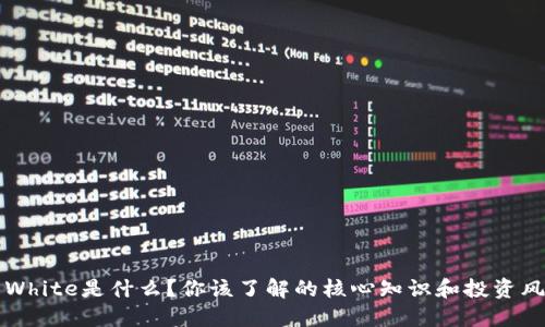 虚拟币White是什么？你该了解的核心知识和投资风险揭秘