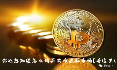你也想知道怎么购买狗币虚拟币吗?看这里!