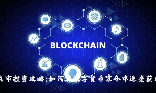 熊市投资攻略：如何在数字货币寒冬中逆袭获利