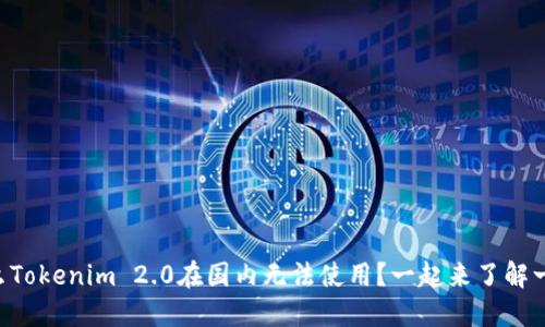为什么Tokenim 2.0在国内无法使用?一起来了解一下吧!