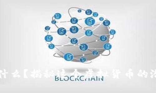 石头币是什么?揭秘这个虚拟货币的潜力与未来