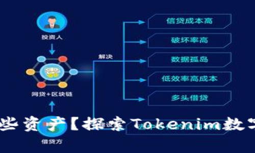 Tokenim可以存哪些资产?探索Tokenim数字钱包的多样性吧!