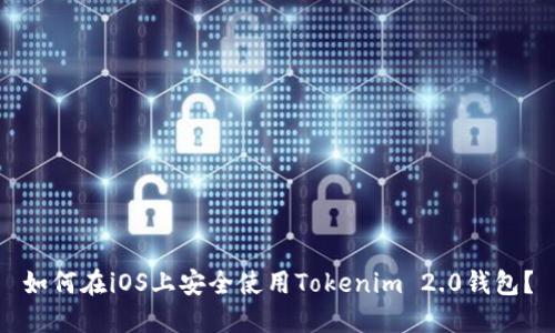 如何在iOS上安全使用Tokenim 2.0钱包?