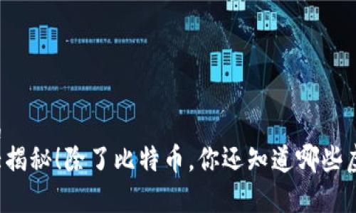 平台直属  
虚拟币大揭秘！除了比特币，你还知道哪些虚拟币呢？