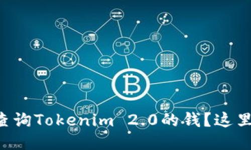 想知道怎么查询Tokenim 2.0的钱？这里全都告诉你！
