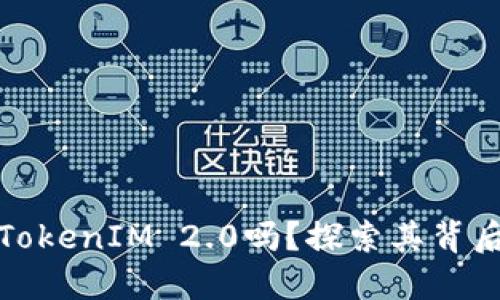 你听说过SDZ TokenIM 2.0吗？探索其背后的创新与应用！
