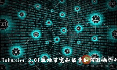 什么是Tokenim 2.0?波场带宽和能量如何影响你的投资?