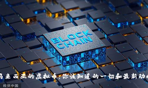 马来西亚的虚拟币:你该知道的一切和最新动向