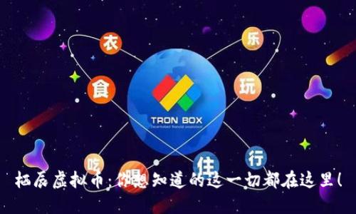 栖辰虚拟币：你想知道的这一切都在这里！