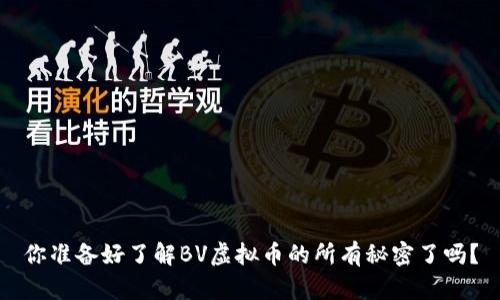 你准备好了解BV虚拟币的所有秘密了吗？