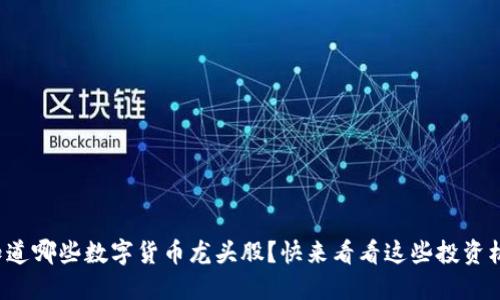 你知道哪些数字货币龙头股？快来看看这些投资机会！