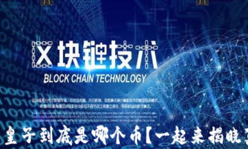 
虚拟币皇子到底是哪个币？一起来揭晓真相吧！