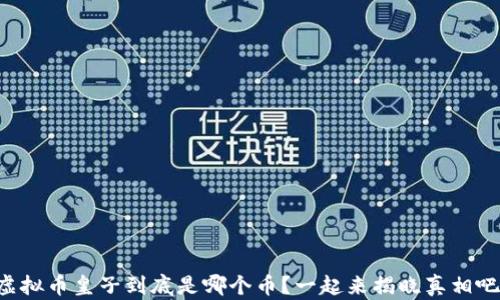 
虚拟币皇子到底是哪个币？一起来揭晓真相吧！