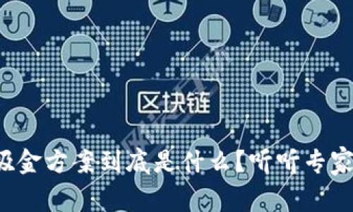 数字货币吸金方案到底是什么？听听专家如何解读！