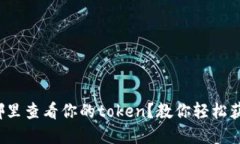 在哪里查看你的token？教你轻松获取！