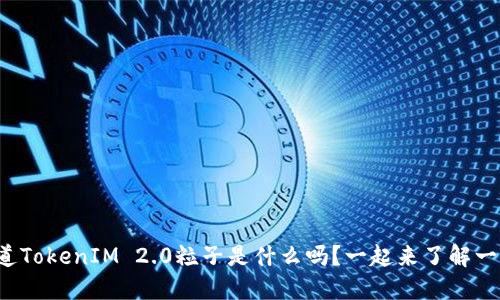 你知道TokenIM 2.0粒子是什么吗？一起来了解一下吧！