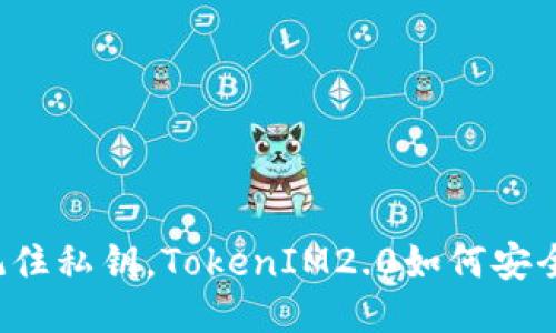 只要记住私钥，TokenIM2.0如何安全无忧？