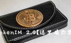 想在中国下载TokenIM 2.0？这里有你需要的全部指南