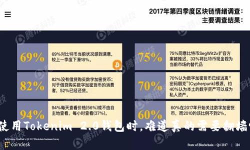 在使用Tokenim 2.0钱包时,难道真的需要翻墙吗?