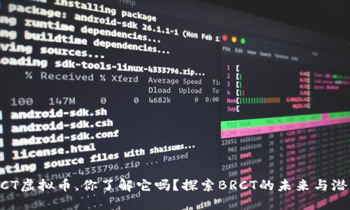 BRCT虚拟币,你了解它吗?探索BRCT的未来与潜力!