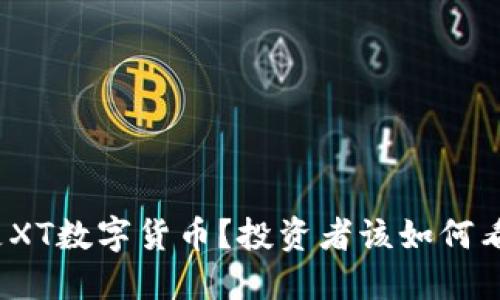 什么是XT数字货币?投资者该如何看待它?