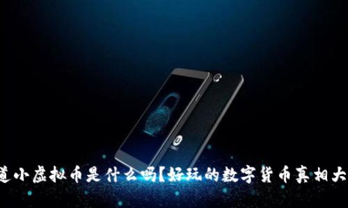 你知道小虚拟币是什么吗?好玩的数字货币真相大揭秘!