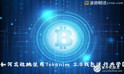 如何高效地使用Tokenim 2.0钱包进行共管?