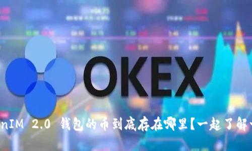 TokenIM 2.0 钱包的币到底存在哪里？一起了解一下！