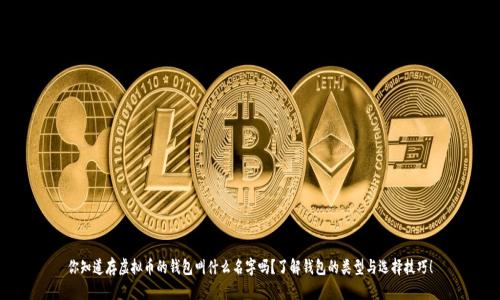 你知道存虚拟币的钱包叫什么名字吗?了解钱包的类型与选择技巧!