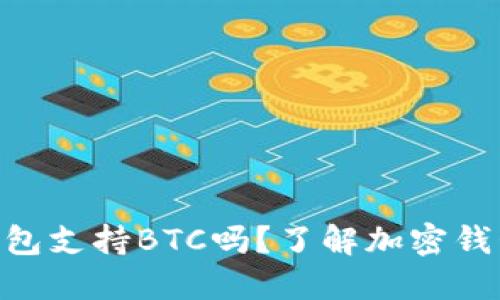 Tokenim 2.0钱包支持BTC吗？了解加密钱包的功能与优势