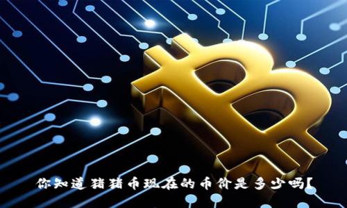 你知道猪猪币现在的币价是多少吗?