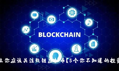为什么你应该关注致链虚拟币？5个你不知道的投资机会