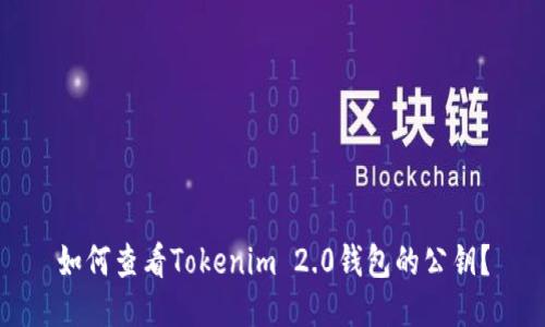 如何查看Tokenim 2.0钱包的公钥？