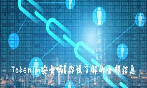 Tokenim安全吗？你该了解的全部信息