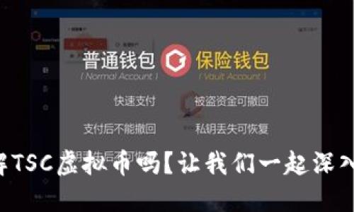 想了解TSC虚拟币吗？让我们一起深入探索！