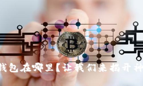 以太坊钱包在哪里？让我们来揭开神秘面纱！